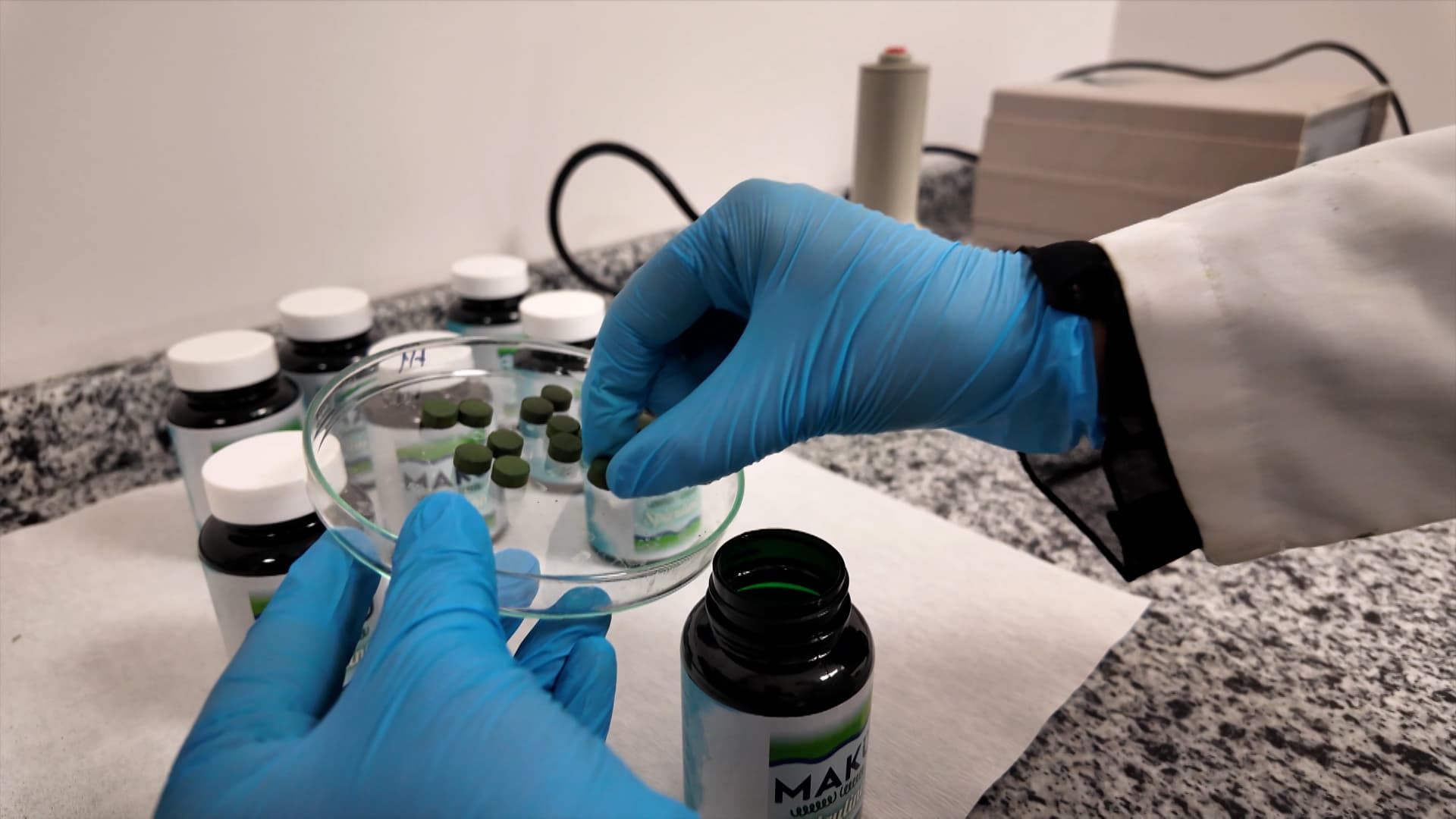 Fikosiyanin Pigmentleri