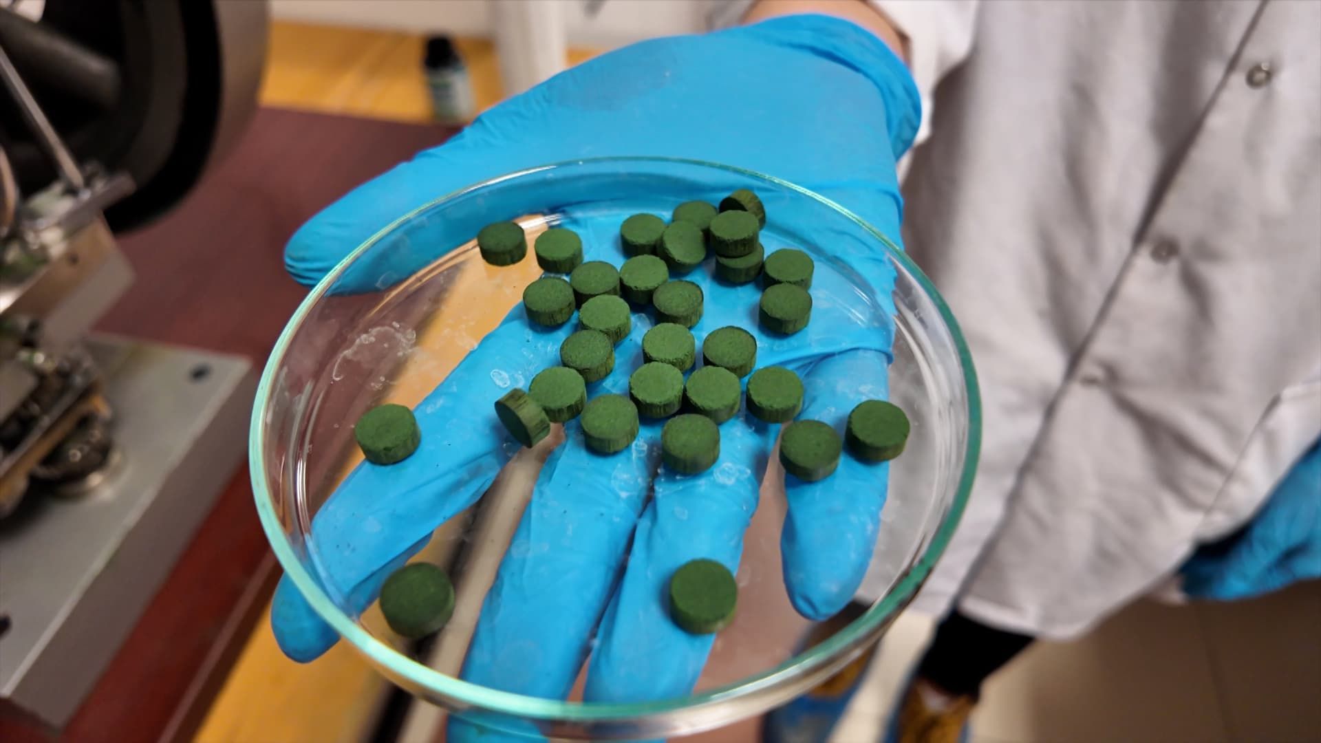 Spirulina Takviye Edici Gıda