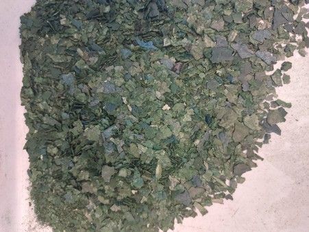 Mikroalg Tabanlı Yem Katkıları